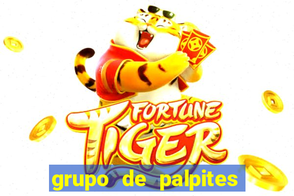 grupo de palpites de futebol whatsapp